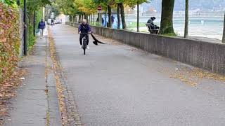 Die Salzach Rabenkrähen  Walnuss knacken  Wie schlau sie sind 🤩👍 [upl. by Aleb]