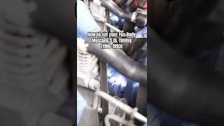 How to set your Fox Body Mustang 50L Timing 19861993 latemodelresto shorts [upl. by Rori670]