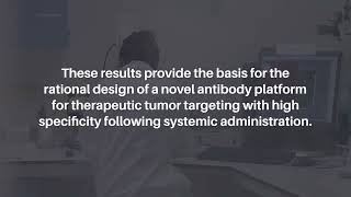 NextGen CellPenetrating Antibodies for Tumor Targeting and RAD51 Inhibition  Oncotarget [upl. by Cynara]