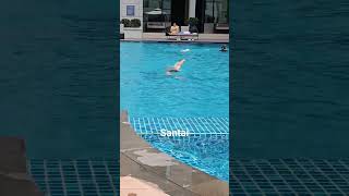 JW Marriott Hotel Kuala Lumpur  Swimming Pool [upl. by Ayekam]