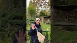 🌟Zoo de Beauval🌟zoodebeauval panda vacances [upl. by Eanil]