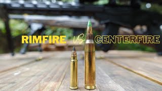 Rimfire vs Centerfire [upl. by Surazal]