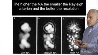 Microscopy Resolution in Microscopy Jeff Lichtman [upl. by Uhsoj]