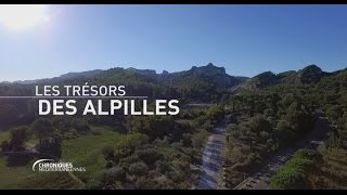 CHRONIQUES MÉDITERRANÉENNES  Les Trésors des Alpilles [upl. by Atsejam]