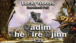 Lucky Noobs LN  Qadim 429  Lamp Daredevil PoV [upl. by Usanis540]