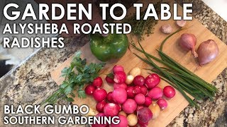 Garden to Table Roasted Radishes  Black Gumbo [upl. by Enelcaj211]