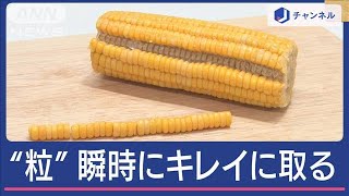 とうもろこし“粒”を瞬時に簡単キレイに取る方法 スプーン一本でスグ！どうやるの？【スーパーJチャンネル】2024年6月10日 [upl. by Vala]