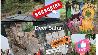 Deer Safari Hyderabad 2024  Mrugavani Park deer Safari Mrugavani park hyderabad 2024 [upl. by Illyes426]