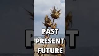 Past Present Future justified sanctification glorification god bible [upl. by Edwina]