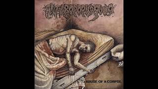 Anthropophagous  2 The Oozing Room  Abuse of a Corpse 2023 deathmetal [upl. by Ecinaj45]