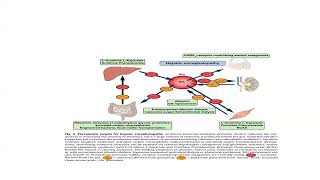 Hepatic Encephalopathy [upl. by Mandych]