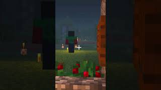 DARK HEROBRINE LO SFIDA  😱😱😱😱 shorts minecraft [upl. by Michell]