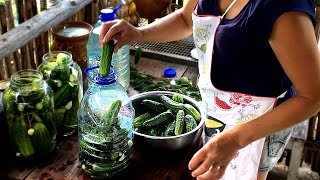 Naturally fermented cucumbers without vinegar [upl. by Atinaej]