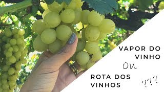 Diferenças entre os passeios VAPOR DO VINHO e ROTA DOS VINHOS [upl. by Sherlock267]