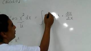 Método de Integração por Substituição Integral Indefinida da Função x cos x2 [upl. by Persse]