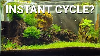 Can You Instantly Cycle An Aquarium Fast Aquarium Cycling Explained [upl. by Roshelle528]