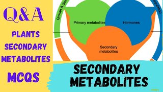 Secondary Metabolites MCQs  Secondary Metabolites of Plants Questions  secondary metabolite quiz [upl. by Haeckel660]