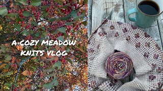 A Cozy Meadow Knits Vlog  Knitting Podcast [upl. by Daniel]