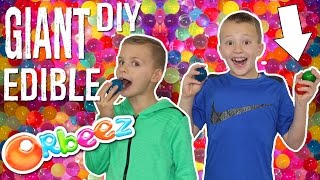 GIANT Edible Orbeez  Orbeez Crush Food Challenge [upl. by Atiekahs]