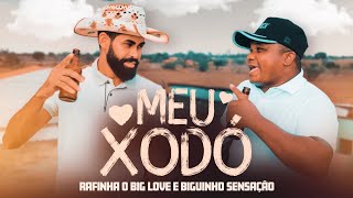 MEU XODÓ  Rafinha o Big Love e Biguinho Sensação CLIPE OFICIAL [upl. by Brieta]