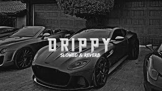 Drippy  slowed reverb  Sidhumoosewala [upl. by Kalil]