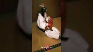 McDojo Short Deadly Karate Monkey [upl. by Seiden]