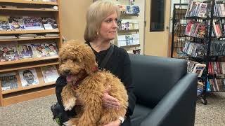 Therapy dogs in training at Vandercook Lake Schools [upl. by Howes]