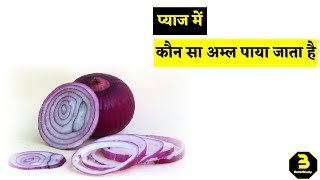 प्याज में कौन सा अम्ल पाया जाता है  Pyaj Mein Kaun Sa Aml Hota Hai  Which Acid Is Present In Onion [upl. by Vadnee]