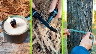 20 Essential Forest Survival Hacks You Need to Know [upl. by Gar]