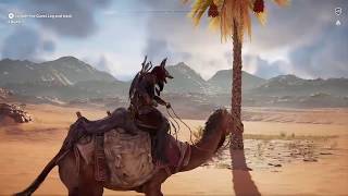 Assassins Creed Origins  Papyrus Puzzles  Burning Bush 📜 [upl. by Holman]