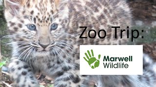 Marwell Zoo Trip September 2016 [upl. by Ansilma]