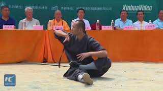 Shaolin Kung Fu show wows audience [upl. by Jacoba]