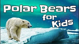 Polar Bears for Kids [upl. by Lathrope326]