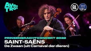 SaintSaëns ‘De Zwaan’  Nicolas Altstaedt amp Friends  Prinsengrachtconcert 2022 [upl. by Setarcos567]