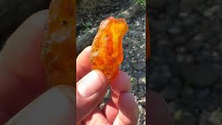 Nice carnelian with some botryoidal action carnelian agate rockhounding gemstone pnw crystals [upl. by Ordnael35]