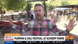 Explore pumpkin amp chili festival at Schnepf Farms in Queen Creek [upl. by Yerggoeg]