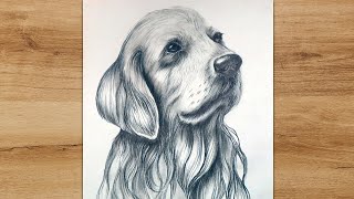 How to Draw a Realistic Dog with a Pencil  StepbyStep Tutorial for Beginners [upl. by Kutzenco984]