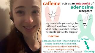 Ligands substrates agonists antagonists inverse agonists amp more binding partner terminology [upl. by Ahsienad128]