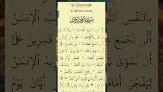 Jour 41 Al Qiyamah partie 1 [upl. by Gonroff]