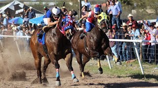 Carreras de Caballos en Cumpas 16 de Marzo 2019 [upl. by Shaver]