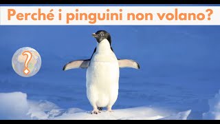 Perché i pinguini non volano [upl. by Tenney]