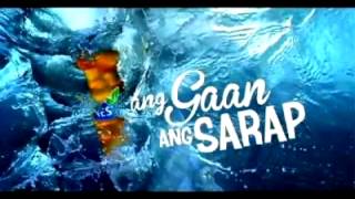 Coffee break island  Ang gaan Ang sarap mp3 download nestea 2012 [upl. by Abbot]