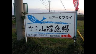 大物も結構釣れる！なら山沼漁場でマス釣りです＾＾【栃木県の管理釣り場】 [upl. by Clava]