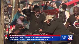 Boston City Council passes ordinance banning tents on Mass amp Cass [upl. by Hindu502]