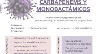 todo sobre antibioticos [upl. by Allebram196]