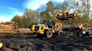 🌳Biggest Forest Machines Amazing Monster Logging Machines [upl. by Varick948]