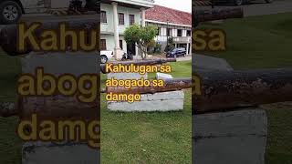 Kahulugan sa abogado sa damgo abogado hubadsaabogadosadamgo kahulugansaabogadosadamgo [upl. by Magnolia]