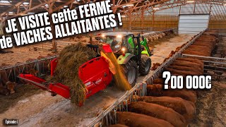 🐄 00 000€ pour ce NOUVEAU BATIMENT de VACHES ALLAITANTES  Un BUDGET CONSÉQUENT💲 [upl. by Rania11]