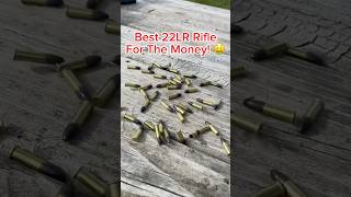 BEST 22LR Rifle To BUY [upl. by Nnaitsirhc]