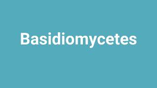 Basidiomycetes Meaning and Pronunciation [upl. by Maressa]